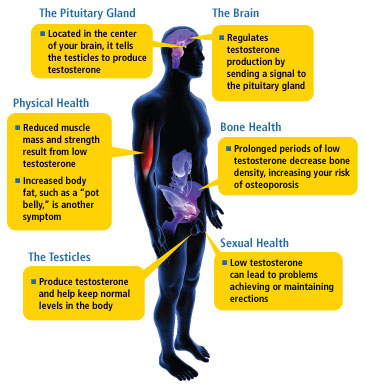 Low testosterone