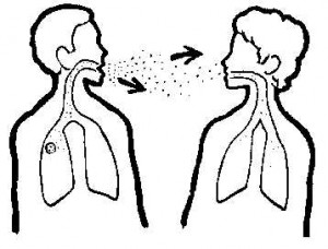 Tuberculosis Causes