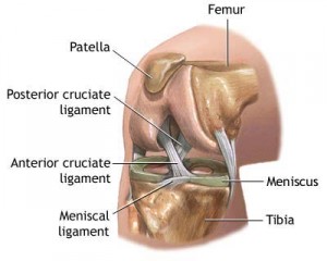 Arthroscopic Knee Surgery