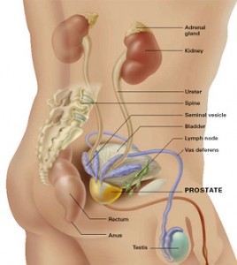 Latest treatment on prostate cancer
