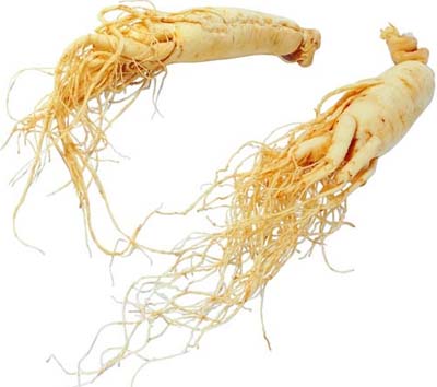 Ginseng