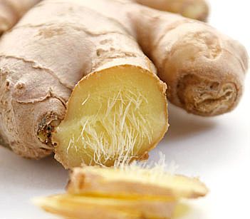 Ginger root